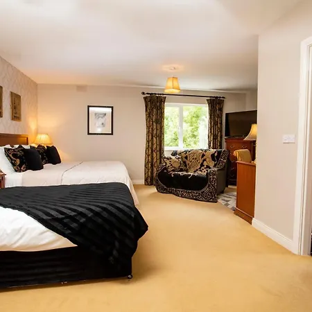 Guest house Donegal Manor 4*
